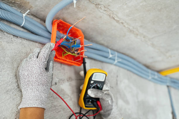 Best Electric Panel Repair  in Epworth, IA